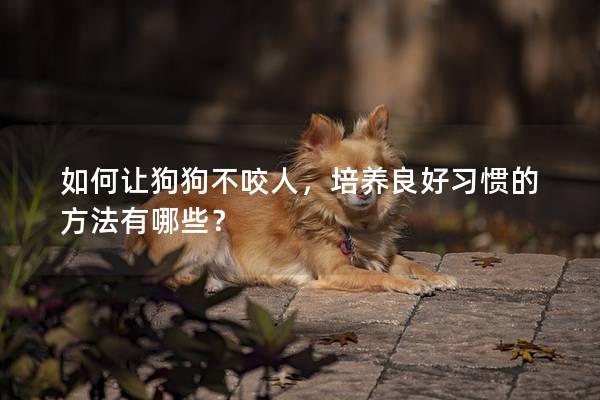 如何让狗狗不咬人，培养良好习惯的方法有哪些？