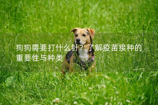 狗狗需要打什么针？了解疫苗接种的重要性与种类