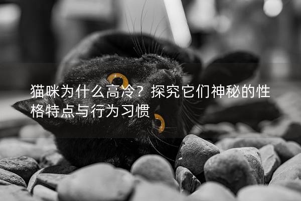 猫咪为什么高冷？探究它们神秘的性格特点与行为习惯