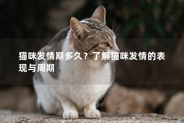 猫咪发情期多久？了解猫咪发情的表现与周期