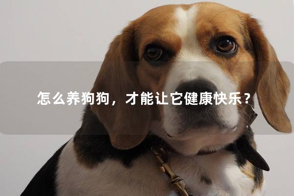 怎么养狗狗，才能让它健康快乐？