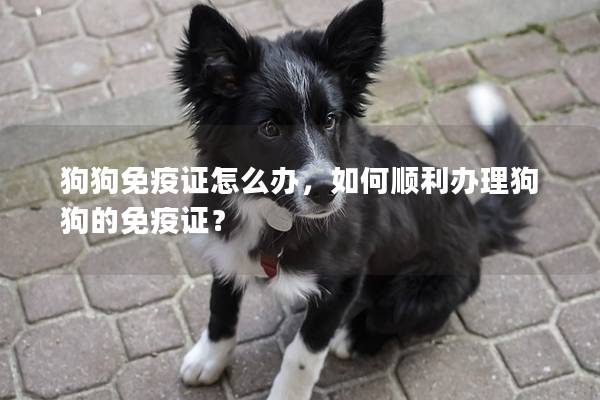 狗狗免疫证怎么办，如何顺利办理狗狗的免疫证？