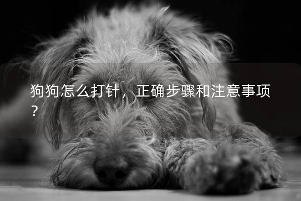 狗狗怎么打针，正确步骤和注意事项？