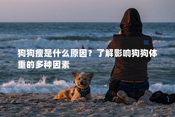 狗狗瘦是什么原因？了解影响狗狗体重的多种因素