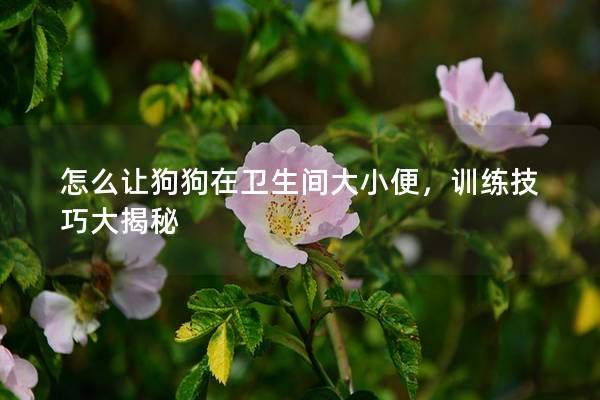 怎么让狗狗在卫生间大小便，训练技巧大揭秘