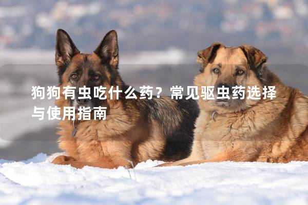 狗狗有虫吃什么药？常见驱虫药选择与使用指南