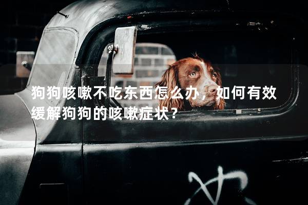 狗狗咳嗽不吃东西怎么办，如何有效缓解狗狗的咳嗽症状？