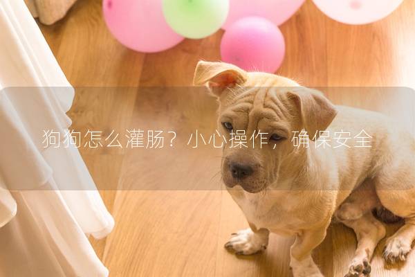 狗狗怎么灌肠？小心操作，确保安全