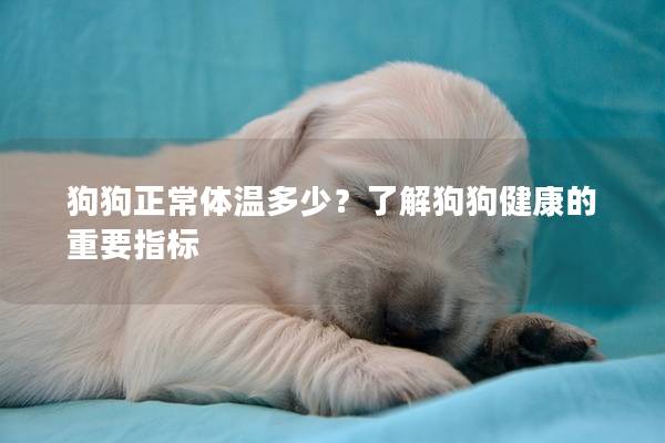 狗狗正常体温多少？了解狗狗健康的重要指标