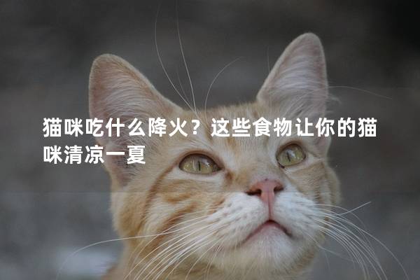 猫咪吃什么降火？这些食物让你的猫咪清凉一夏