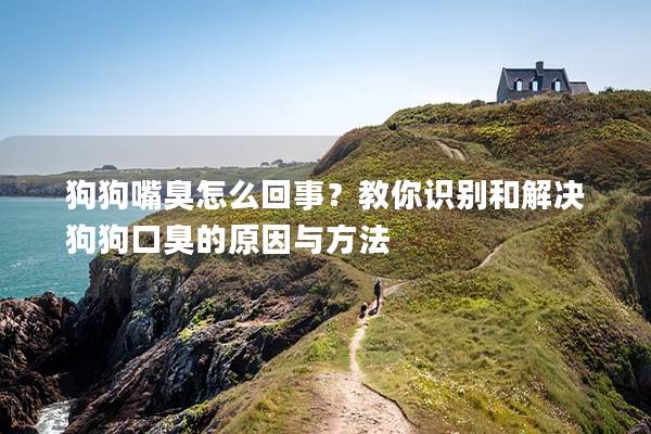 狗狗嘴臭怎么回事？教你识别和解决狗狗口臭的原因与方法