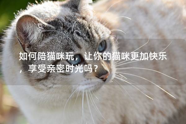 如何陪猫咪玩，让你的猫咪更加快乐，享受亲密时光吗？