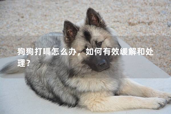 狗狗打嗝怎么办，如何有效缓解和处理？