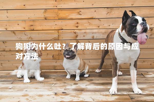 狗狗为什么吐？了解背后的原因与应对方法