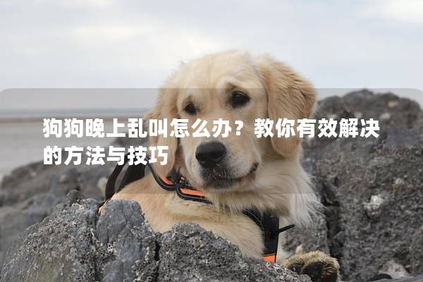 狗狗晚上乱叫怎么办？教你有效解决的方法与技巧