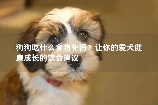 狗狗吃什么食物补钙？让你的爱犬健康成长的饮食建议