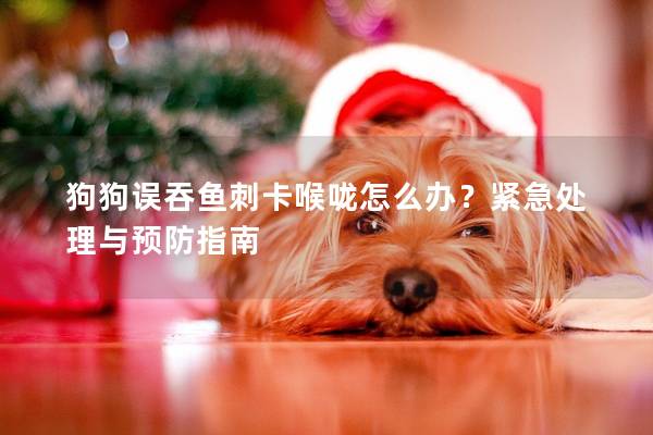 狗狗误吞鱼刺卡喉咙怎么办？紧急处理与预防指南