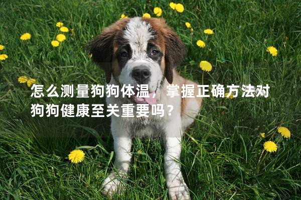 怎么测量狗狗体温，掌握正确方法对狗狗健康至关重要吗？