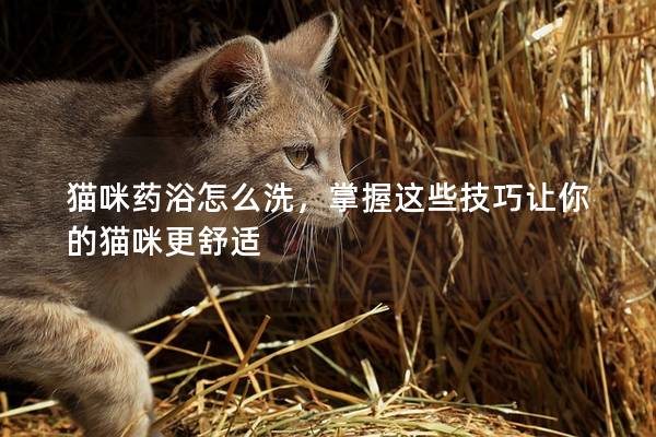 猫咪药浴怎么洗，掌握这些技巧让你的猫咪更舒适
