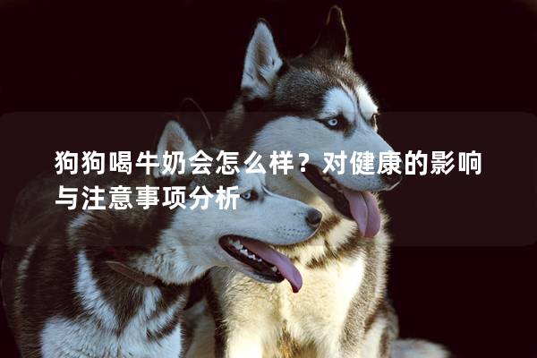 狗狗喝牛奶会怎么样？对健康的影响与注意事项分析