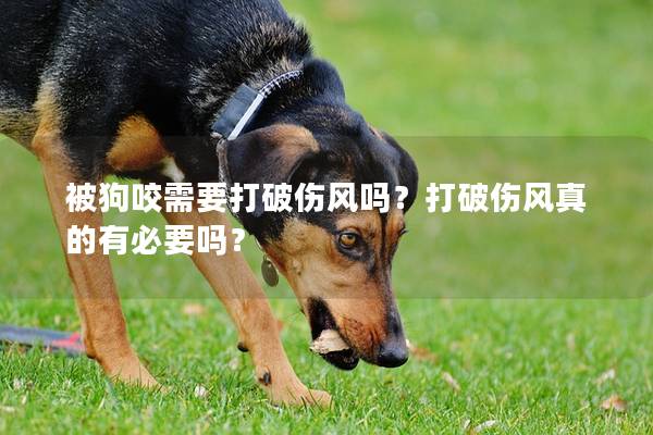 被狗咬需要打破伤风吗？打破伤风真的有必要吗？