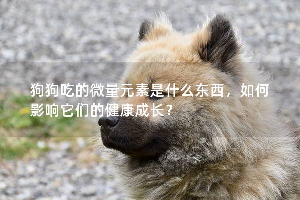 狗狗吃的微量元素是什么东西，如何影响它们的健康成长？
