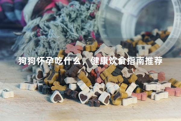 狗狗怀孕吃什么，健康饮食指南推荐