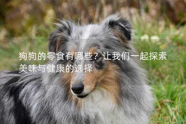 狗狗的零食有哪些？让我们一起探索美味与健康的选择