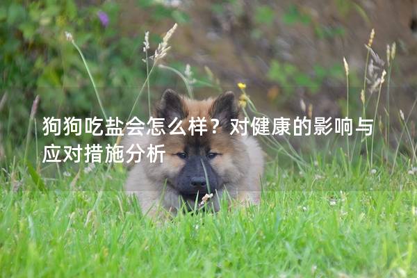 狗狗吃盐会怎么样？对健康的影响与应对措施分析