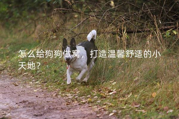怎么给狗狗做窝，打造温馨舒适的小天地？