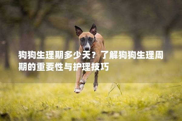 狗狗生理期多少天？了解狗狗生理周期的重要性与护理技巧