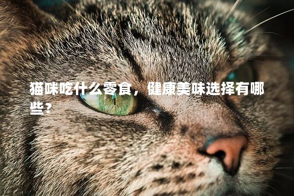 猫咪吃什么零食，健康美味选择有哪些？