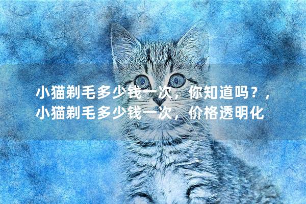 小猫剃毛多少钱一次，你知道吗？,小猫剃毛多少钱一次，价格透明化