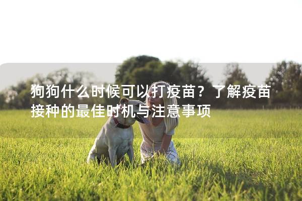 狗狗什么时候可以打疫苗？了解疫苗接种的最佳时机与注意事项