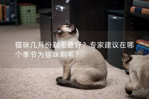 猫咪几月份剃毛最好？专家建议在哪个季节为猫咪剃毛？