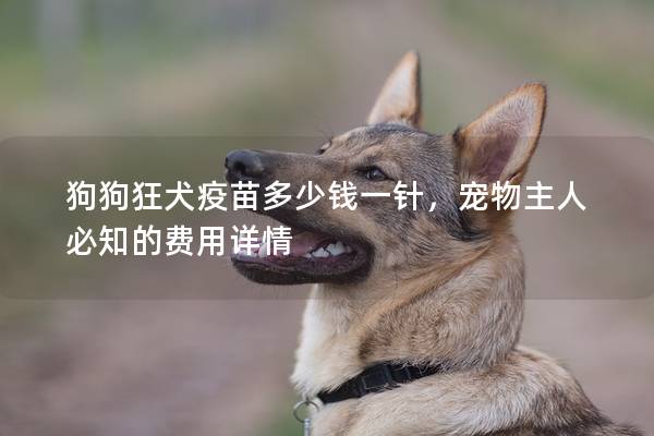 狗狗狂犬疫苗多少钱一针，宠物主人必知的费用详情