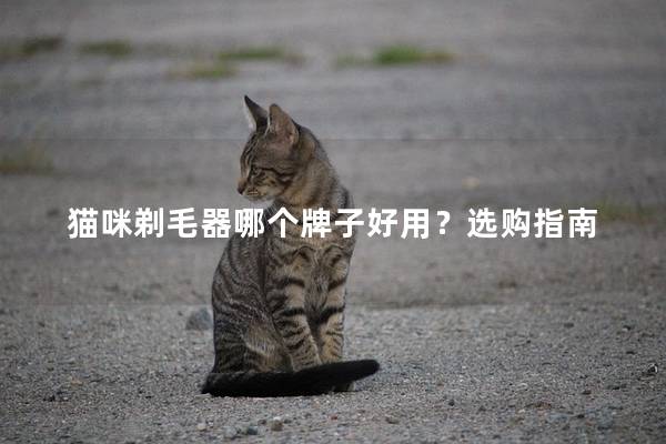 猫咪剃毛器哪个牌子好用？选购指南