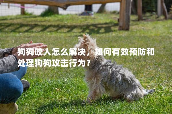 狗狗咬人怎么解决，如何有效预防和处理狗狗攻击行为？