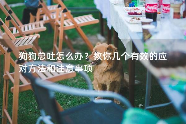 狗狗总吐怎么办？教你几个有效的应对方法和注意事项