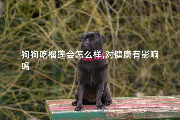 狗狗吃榴莲会怎么样,对健康有影响吗