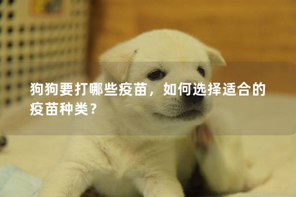 狗狗要打哪些疫苗，如何选择适合的疫苗种类？
