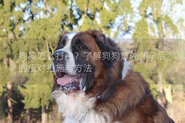狗狗怎么打胎？了解狗狗意外怀孕后的应对措施与方法