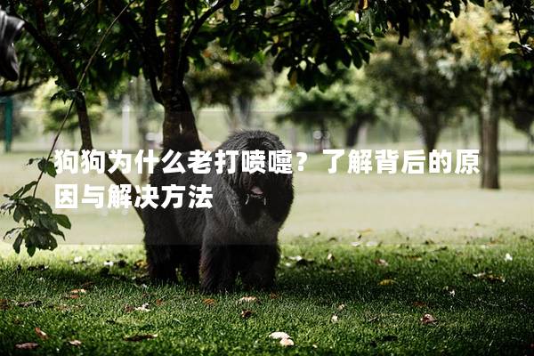 狗狗为什么老打喷嚏？了解背后的原因与解决方法