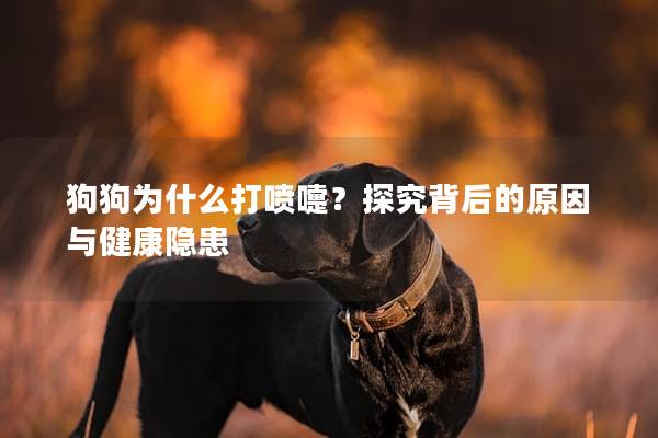 狗狗为什么打喷嚏？探究背后的原因与健康隐患