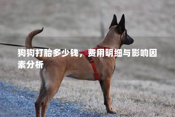狗狗打胎多少钱，费用明细与影响因素分析