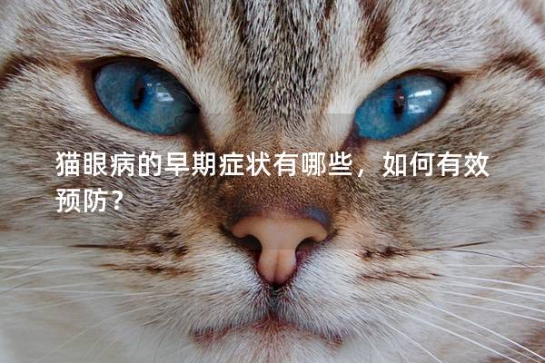 猫眼病的早期症状有哪些，如何有效预防？