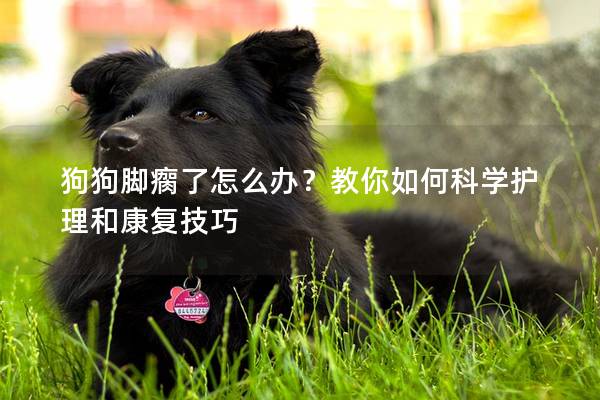 狗狗脚瘸了怎么办？教你如何科学护理和康复技巧