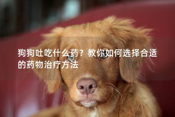 狗狗吐吃什么药？教你如何选择合适的药物治疗方法