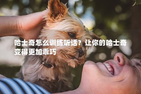 哈士奇怎么训练听话？让你的哈士奇变得更加乖巧