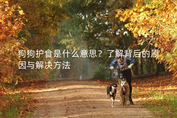 狗狗护食是什么意思？了解背后的原因与解决方法